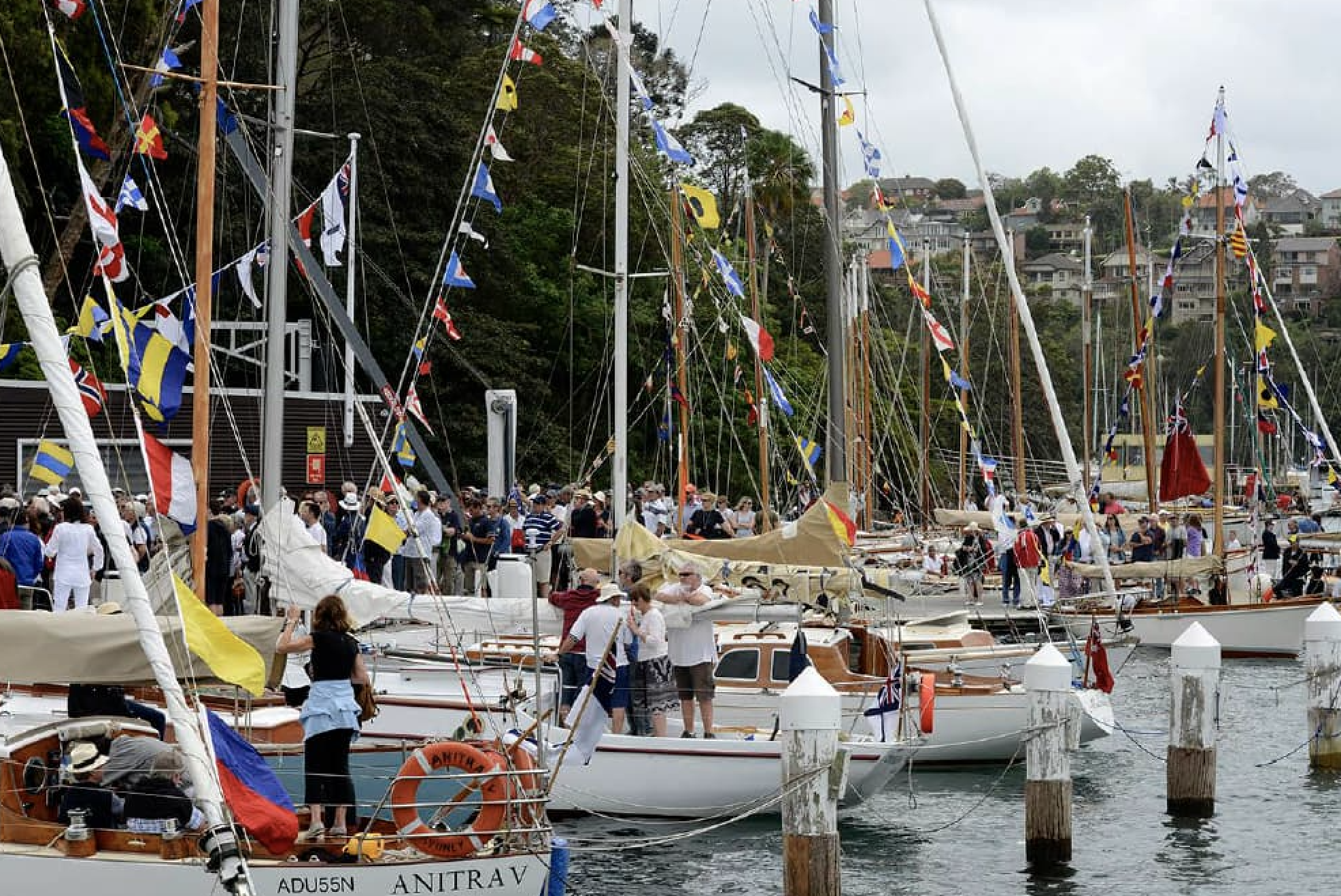 Gaffers Day Sydney Amateur Sailing Club