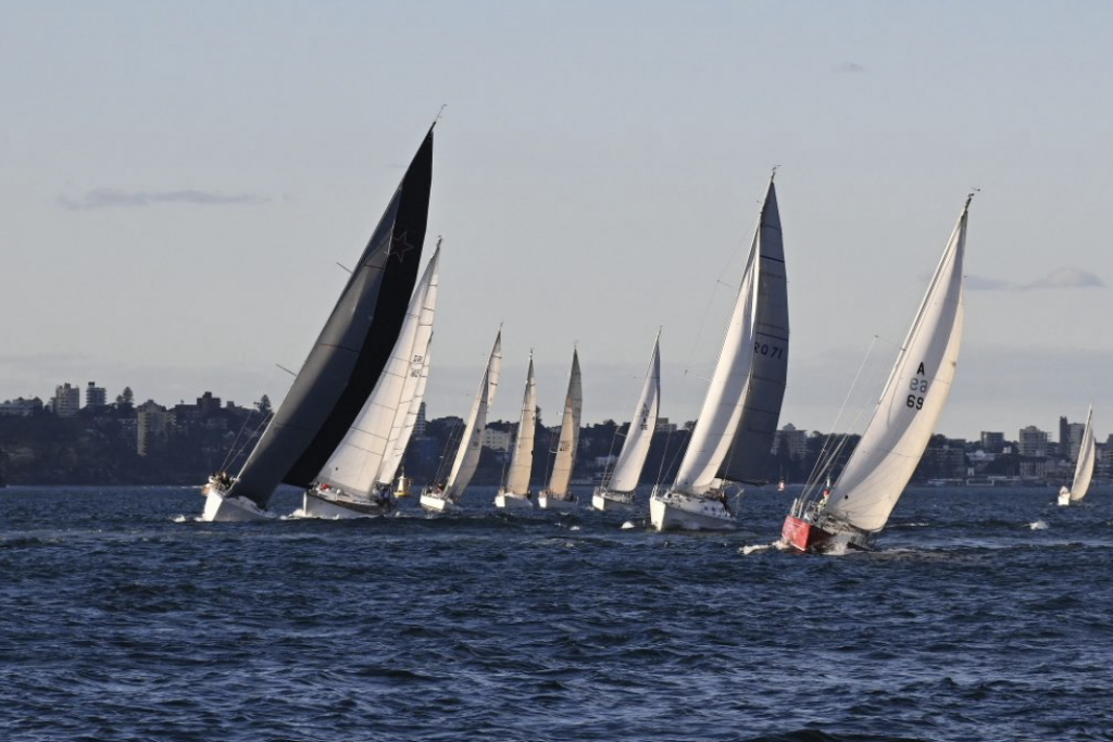 Gallery of Photography Sydney Amateur Sailing Club