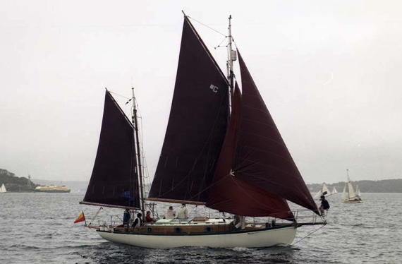 Sydney Amateur Sailing Club Rob Evans